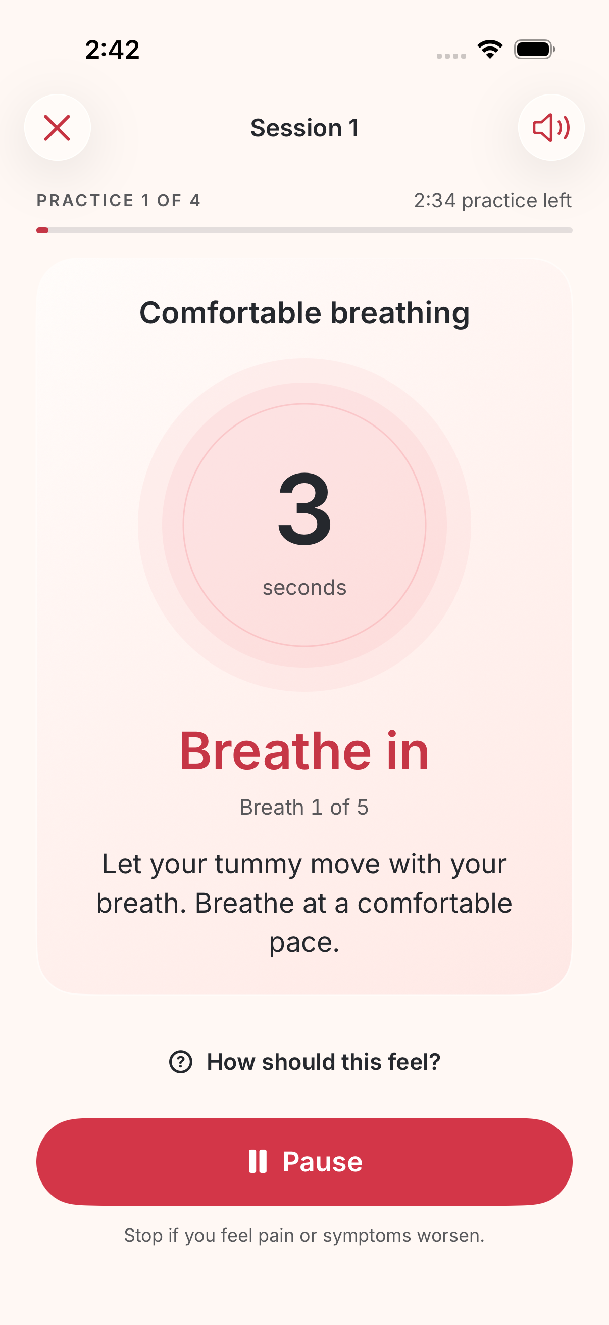 Pelfi’s comfortable breathing session with a countdown, guidance, and pause control